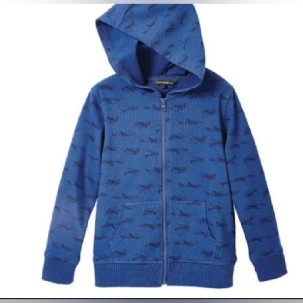 George Blue Hooded Sweatshirt with planes Pattern